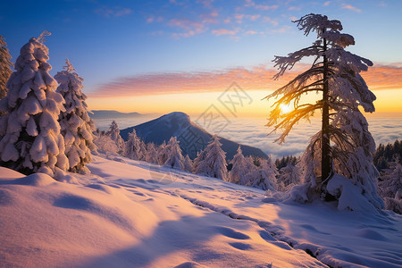 白雪皑皑的冬季雪山景观图片