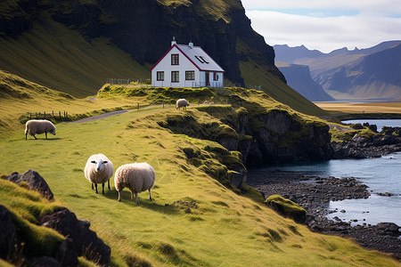 冰岛的户外景观图片