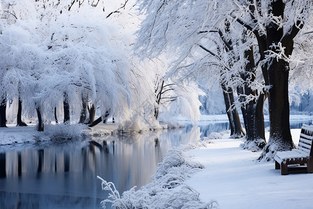 白雪覆盖的森林景观背景图片