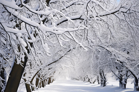 冰雪乡村的冬日风景图片