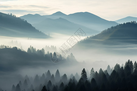 雾气弥漫清晨薄雾笼罩的山林景观背景