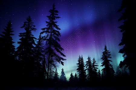 野外夜空中绚丽的极光景观图片