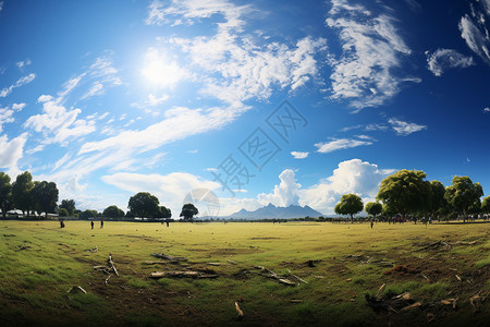 户外足球场夏季户外的运动草坪场地插画