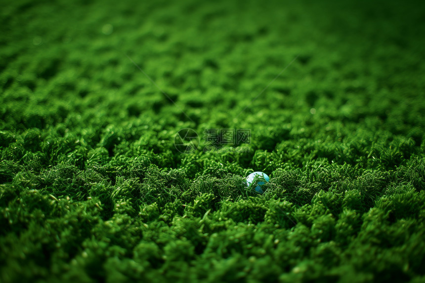 绿色的人造草坪图片