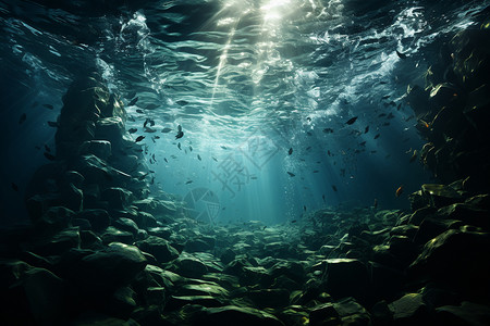 水地清澈水底的自然之美插画
