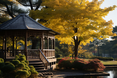 秋季的公园凉亭景观图片