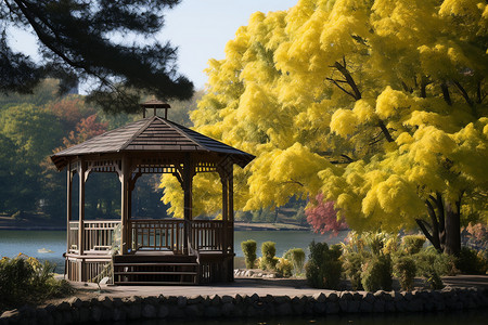 湖边宁静的凉亭景观图片