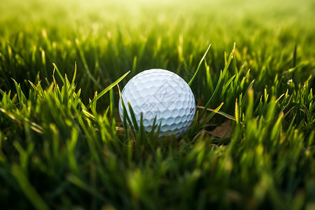 碧绿草地的高尔夫图片