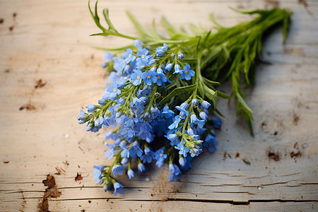 美丽的蓝色花束背景图片