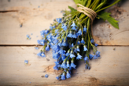 新鲜采摘的蓝色花朵图片