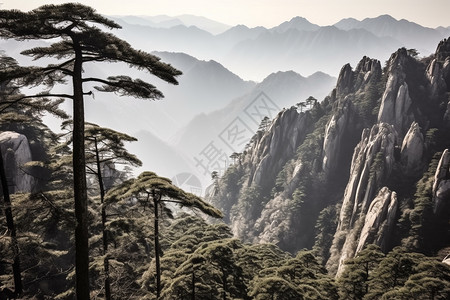 山景如画震撼的黄山山脉景观背景