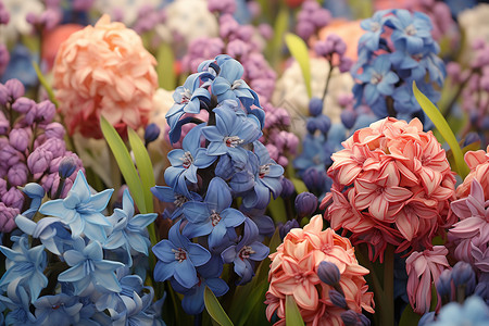 春天的花朵五颜六色的春天花束高清图片