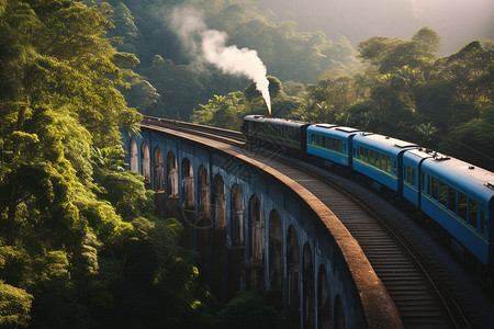 森林中的铁轨森林中的火车背景