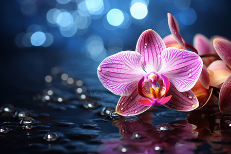 粉色水波素材水波映照下的花朵背景