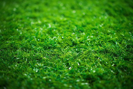 绿色人工草坪图片