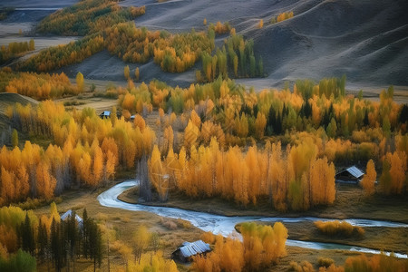 美丽的秋季森林图片