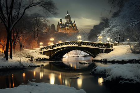 冬日里的桥图片