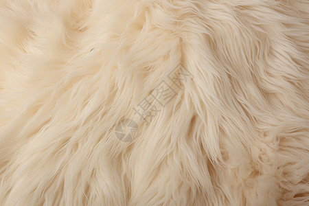 羊皮材质柔软的米色毛皮背景