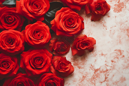 红玫瑰的浪漫图片