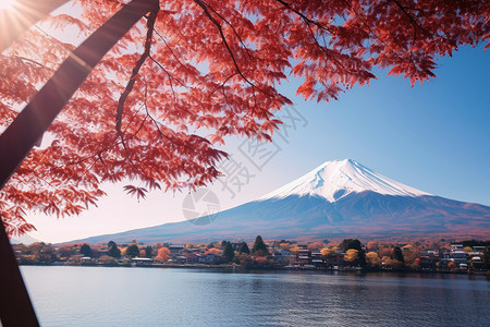 富士山倒映樱花湖面上图片
