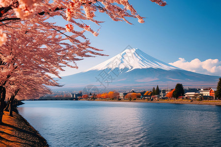 富士山背后的湖畔背景图片