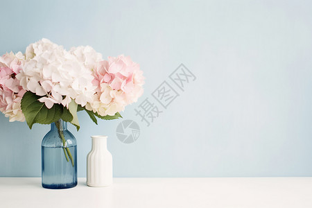 插画植物花淡蓝色墙边的花背景