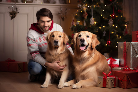 狗狗与主人共庆圣诞背景图片