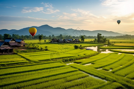 热空气球美丽的稻田风景背景
