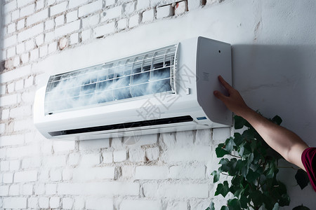 空调冷却器壁挂植物高清图片