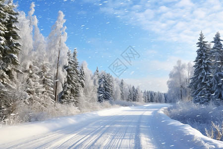 雪中的公路图片