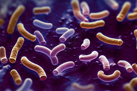 紫色背景下的微生物高清图片