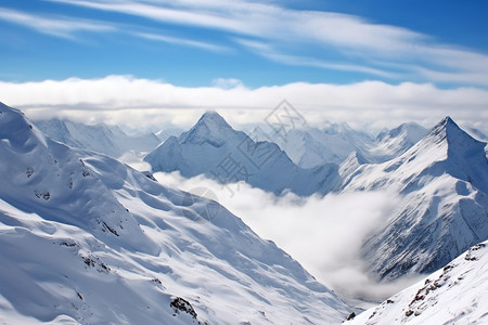 冰雪世界的宁静图片