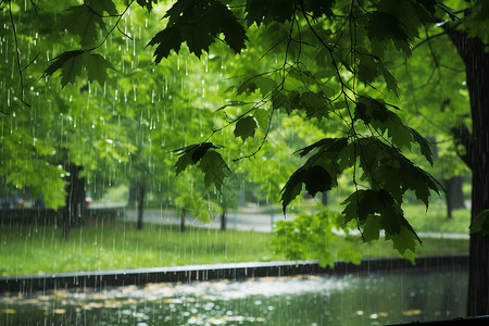 雨中的美景背景图片