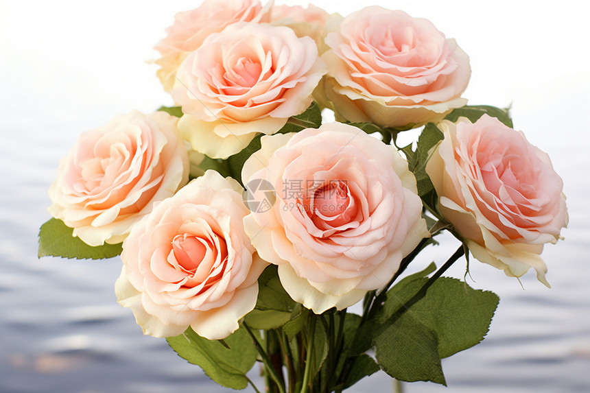花瓶中的粉色玫瑰图片