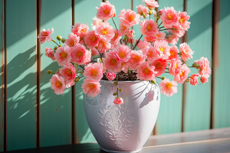 粉色花朵装点夏日的家高清图片
