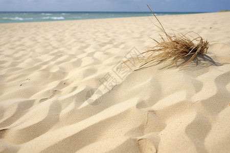广阔的沙滩背景图片