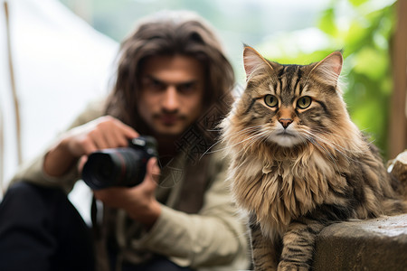 师和猫咪背景图片