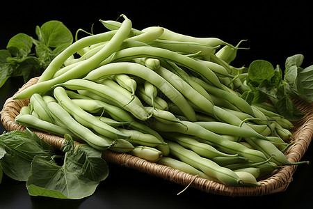 蔬菜四季豆植物菜豆高清图片