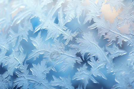 冬日的玻璃冰晶图片