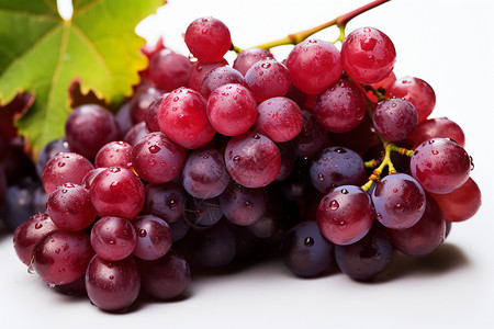 紫色的水果葡萄背景图片