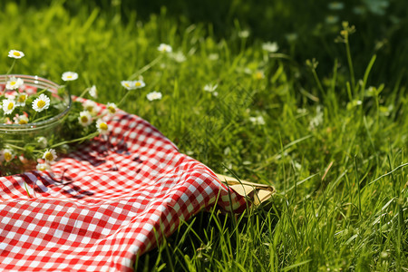 草坪上的野餐布高清图片
