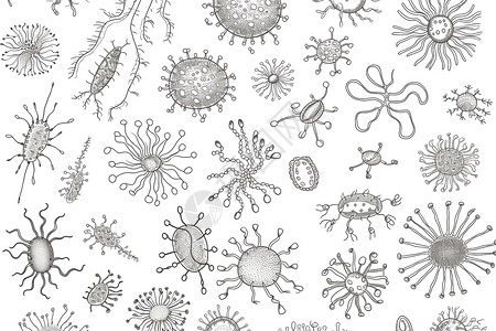 细菌、病毒与细胞高清图片