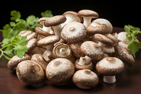 青叶盆栽旁边的蘑菇背景图片