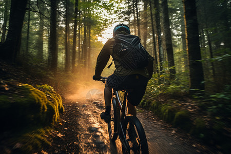 自行车阳光森林郊外的骑行少年背景