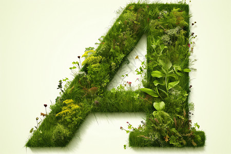 绿色植物拼成的字母A图片