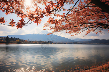 秋日富士山下的湖畔图片