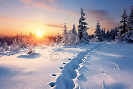行走脚印冬日夕阳下的雪景背景