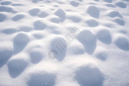 阳光下的雪地图片
