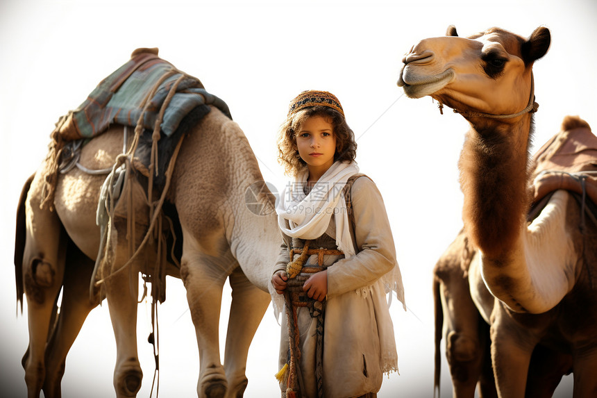 少女与骆驼图片