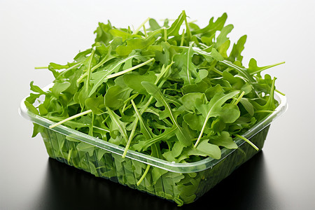 绿叶蔬菜在塑料容器中图片